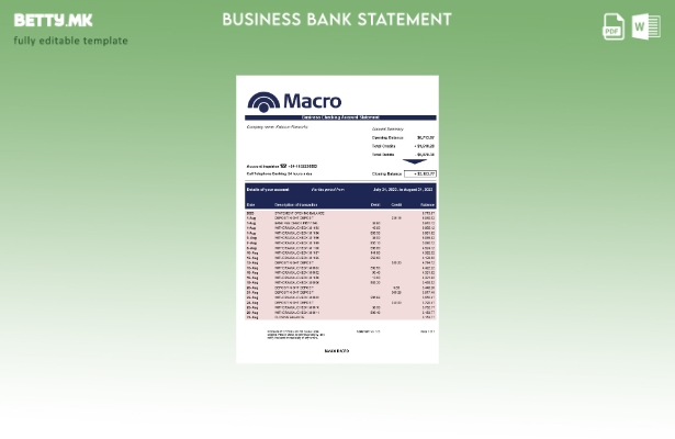 Модерен стил Банко макро организација која проверува извод на сметката Шаблон Wo